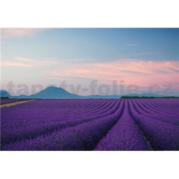 Fototapety Provence Francie rozměr 368 cm x 254 cm - POSLEDNÍ KUSY