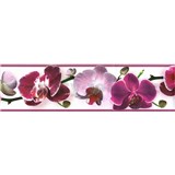 Samolepící bordura květy orchideje fialové 5 m x 8,3 cm - POSLEDNÍ KUS