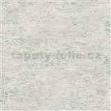 Vliesové tapety na zeď IMPOL Focus moderní stěrka krémovo-šedá