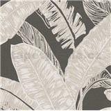 Vliesové tapety na zeď Felicita listy světle hnědé na tmavě hnědém podkladu - POSLEDNÍ KUSY