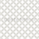 Statické tapety transparentní Elliott White 45 cm x 15 m - POSLEDNÍ METRY