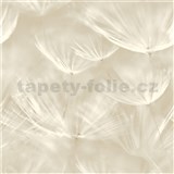 Vliesové tapety na zeď IMPOL pampelišky krémově bílé