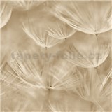 Vliesové tapety na zeď IMPOL pampelišky béžové