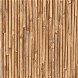 Samolepící tapety - Rufa bambus 90 cm x 15 m - AKCE