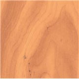 Samolepící tapety javorové dřevo světlé - 67,5 cm x 15 m