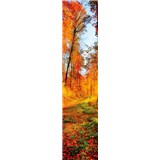 Samolepící dekorační pásy les na podzim rozměr 60 cm x 260 cm - POSLEDNÍ KUSY