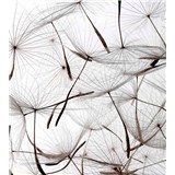 Vliesové fototapety létající pampelišky rozměr 225 cm x 250 cm - POSLEDNÍ KUSY