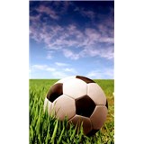 Vliesové fototapety fotbalový míč rozměr 150 cm x 250 cm - POSLEDNÍ KUSY