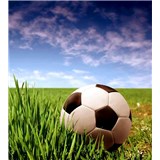 Vliesové fototapety fotbalový míč rozměr 225 cm x 250 cm
