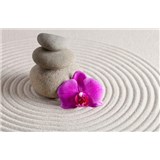 Vliesové fototapety wellness orchidej rozměr 312 cm x 219 cm