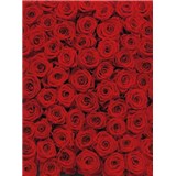 Fototapety červené růže rozměr 194 cm x 270 cm - POSLEDNÍ KUS