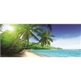 Vliesové fototapety palmy na pláži rozměr 250 cm x 104 cm