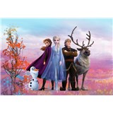Fototapety Disney Frozen II přátelé rozměr 368 cm x 254 cm