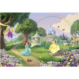 Fototapety Disney Princess duha rozměr 368 cm x 254 cm