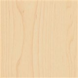 Samolepící tapety javorové dřevo - 90 cm x 15 m