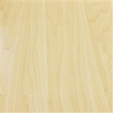 Samolepící fólie bukové přírodní dřevo - 67,5 cm x 15 m