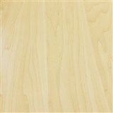 Samolepící fólie bukové přírodní dřevo - 67,5 cm x 15 m