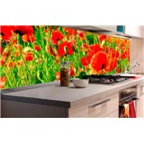 Samolepící tapety za kuchyňskou linku vlčí máky rozměr 180 cm x 60 cm - POSLEDNÍ KUSY
