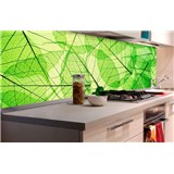 Samolepící tapety za kuchyňskou linku listové žíly rozměr 180 cm x 60 cm - POSLEDNÍ KUSY
