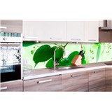 Samolepící tapety za kuchyňskou linku zelené listy rozměr 260 cm x 60 cm