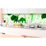 Samolepící tapety za kuchyňskou linku zelené listy rozměr 350 cm x 60 cm