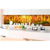 Samolepící tapety za kuchyňskou linku slunný les rozměr 350 cm x 60 cm