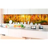 Samolepící tapety za kuchyňskou linku slunný les rozměr 350 cm x 60 cm - POSLEDNÍ KUSY