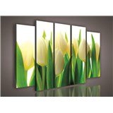 Obraz na plátně tulipány 150 x 100 cm