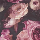 Vliesové tapety na zeď Opus květinová kompozice růžová na tmavém pozadí