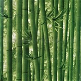 Samolepící fólie bambus zelený 45 cm x 10 m