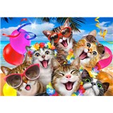 Vliesové fototapety selfie kočky rozměr 368 cm x 254 cm