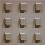 Vliesové tapety na zeď Kinetic 3D kostky hnědé