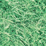 Samolepící tapety zelená tráva 45 cm x 15 m