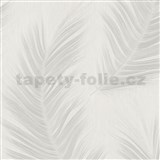 Vliesové tapety na zeď Aurora peříčka bílé na bílém podkladu