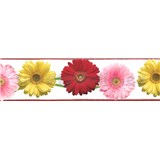 Samolepící bordura gerbery 5 m x 8,3 cm - POSLEDNÍ KUSY