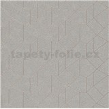 Vliesové tapety IMPOL Carat 2 skandinávský design stříbrný se hnědými konturami