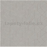 Vliesové tapety IMPOL Carat 2 skandinávský design stříbrný se hnědými konturami