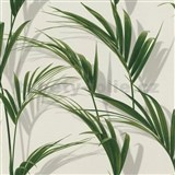 Vliesové tapety na zeď IMPOL Collection listy palmy na bílém podkladu