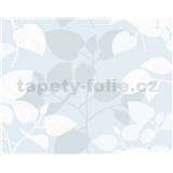Statická fólie transparentní Amena - 45 cm x 15 m