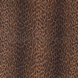 Samolepící tapety - leopard Afrika 45 cm x 15 m - DOPRODEJ
