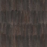 Samolepící tapety d-c-fix - peří hnědé Dano 45 cm x 15 m - POSLEDNÍ METRY