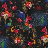 Vliesové tapety na zeď Instawalls ptáci s barevnými květy na černém podkladu