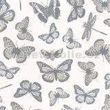 Vliesové tapety na zeď Felicita motýli šedo-stříbrní na bílém podkladu