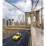 Vliesové fototapety New York rozměr 225 cm x 250 cm