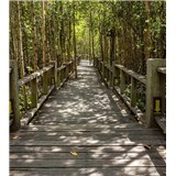 Vliesové fototapety mangrovový les rozměr 225 cm x 250 cm