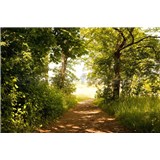 Vliesové fototapety lesní cesta rozměr 375 cm x 250 cm - POSLEDNÍ KUSY