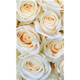 Vliesové fototapety bílé růže rozměr 150 cm x 250 cm