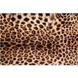 Vliesové fototapety leopardí kůže rozměr 375 cm x 250 cm