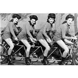 Vliesové fototapety ženy na kole rozměr 375 cm x 250 cm