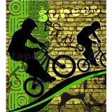 Vliesové fototapety bicycle green rozměr 225 cm x 250 cm